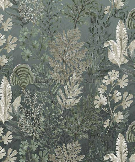 Behang Expresse Treasures of Nature TD4255 | Bestellen bij https://www.kleurmijninterieur.nl/