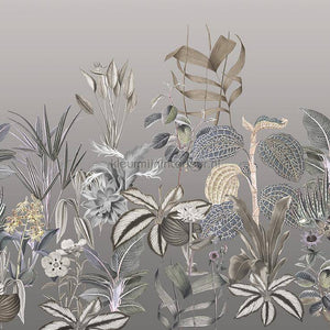Behang Expresse Treasures of Nature TD4277 | Bestellen bij https://www.kleurmijninterieur.nl/