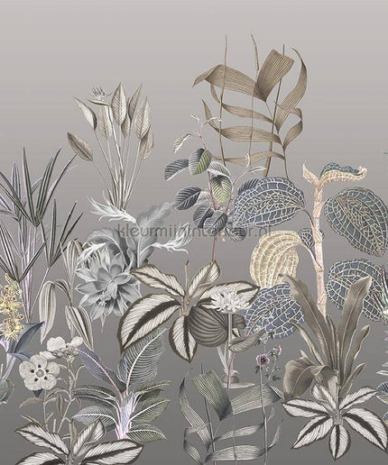 Behang Expresse Treasures of Nature TD4277 | Bestellen bij https://www.kleurmijninterieur.nl/