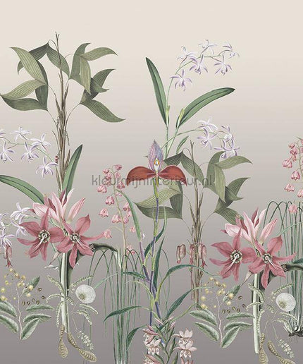 Behang Expresse Treasures of Nature TD4281 | Bestellen bij https://www.kleurmijninterieur.nl/