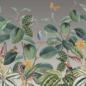Behang Expresse Treasures of Nature TD4282 | Bestellen bij https://www.kleurmijninterieur.nl/
