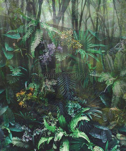Behang Expresse Treasures of Nature TD4287 | Bestellen bij https://www.kleurmijninterieur.nl/