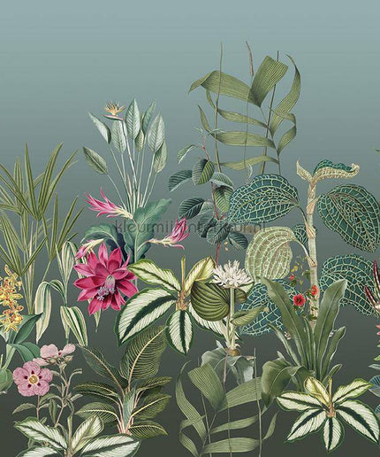 Behang Expresse Treasures of Nature TD4290 | Bestellen bij https://www.kleurmijninterieur.nl/