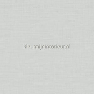 Hookedonwalls New Wave 24810 | Bestellen bij https://www.kleurmijninterieur.nl/