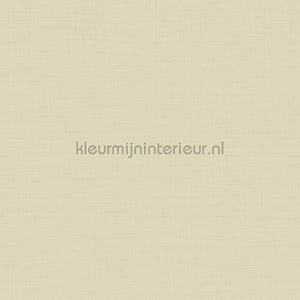 Hookedonwalls New Wave 24811 | Bestellen bij https://www.kleurmijninterieur.nl/