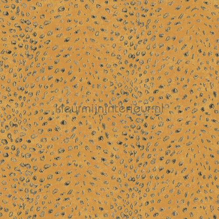 Khroma Cabinet of Curiosities CAB804 | Bestellen bij https://www.kleurmijninterieur.nl/