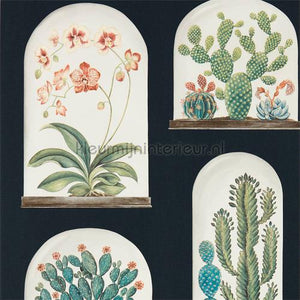 Sanderson Glasshouse 216658 | Bestellen bij https://www.kleurmijninterieur.nl/