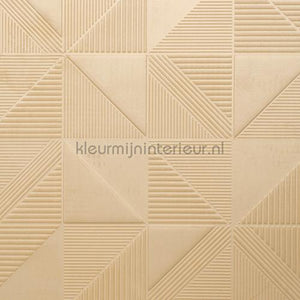Arte Velveteen 87014 | Bestellen bij https://www.kleurmijninterieur.nl/