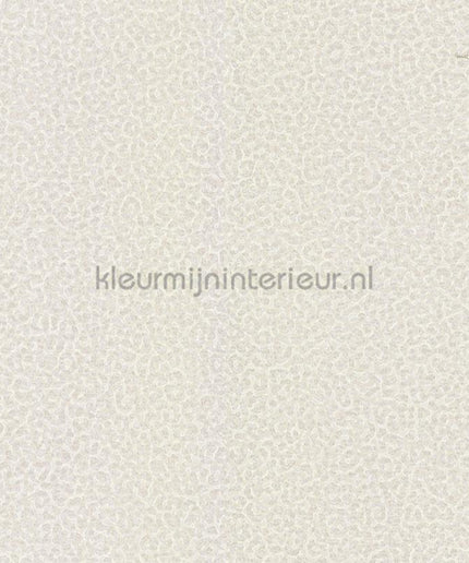 Dutch First Class Roberto Cavalli 8 19016 | Bestellen bij https://www.kleurmijninterieur.nl/