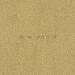 Dutch First Class Roberto Cavalli 8 19017 | Bestellen bij https://www.kleurmijninterieur.nl/