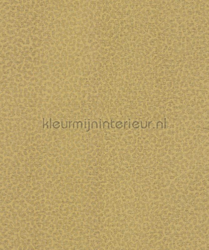 Dutch First Class Roberto Cavalli 8 19017 | Bestellen bij https://www.kleurmijninterieur.nl/