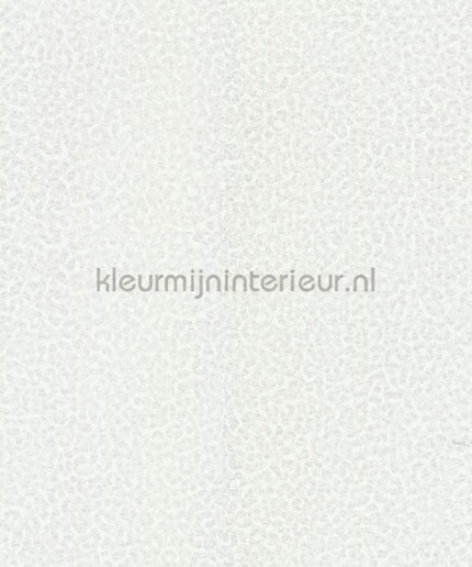 Dutch First Class Roberto Cavalli 8 19020 | Bestellen bij https://www.kleurmijninterieur.nl/