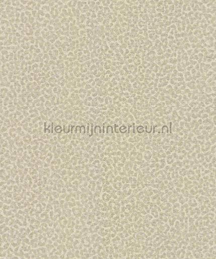 Dutch First Class Roberto Cavalli 8 19021 | Bestellen bij https://www.kleurmijninterieur.nl/