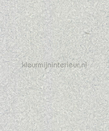 Dutch First Class Roberto Cavalli 8 19026 | Bestellen bij https://www.kleurmijninterieur.nl/