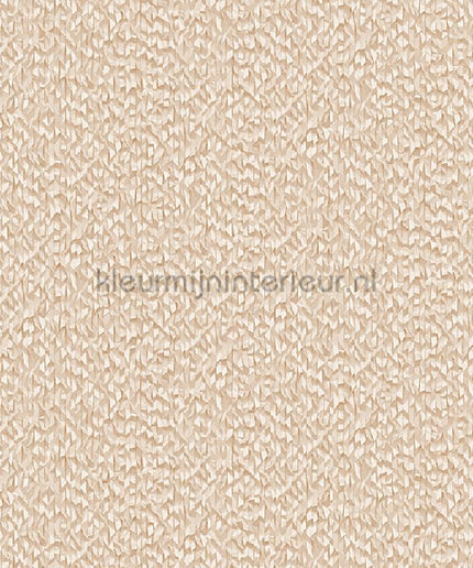 Dutch Wallcoverings Exclusive Threads TP422964 | Bestellen bij https://www.kleurmijninterieur.nl/