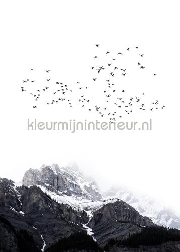 Livingwalls ARTist dd119909 | Bestellen bij https://www.kleurmijninterieur.nl/