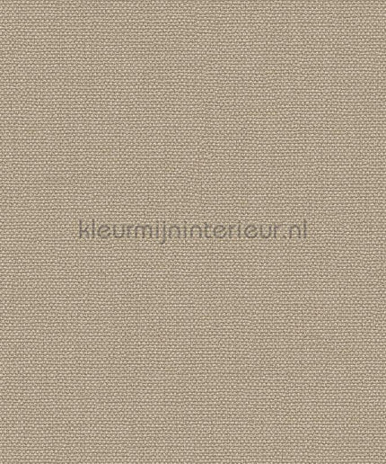 Dutch Wallcoverings Exclusive Threads TP422944 | Bestellen bij https://www.kleurmijninterieur.nl/