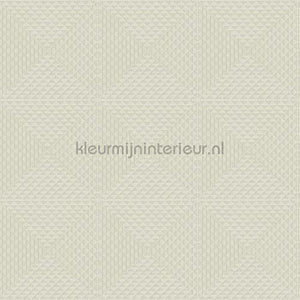 Hookedonwalls New Wave 24828 | Bestellen bij https://www.kleurmijninterieur.nl/