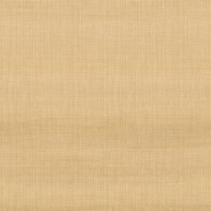 29371 | kleurmijninterieur