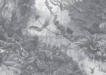 Kek Amsterdam Flora en Fauna wp-605 | Bestellen bij https://www.kleurmijninterieur.nl/