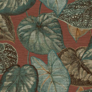 Hookedonwalls Tahiti TA25053 | Bestellen bij https://www.kleurmijninterieur.nl/