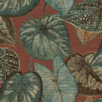 Hookedonwalls Tahiti TA25053 | Bestellen bij https://www.kleurmijninterieur.nl/