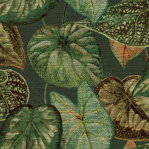 Hookedonwalls Tahiti TA25054 | Bestellen bij https://www.kleurmijninterieur.nl/