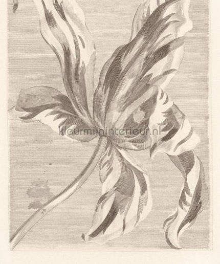 Eijffinger Wallpower Favourites 309032 | Bestellen bij https://www.kleurmijninterieur.nl/