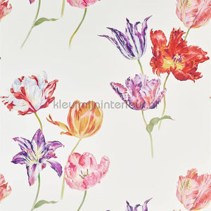 Sanderson Glasshouse 216666 | Bestellen bij https://www.kleurmijninterieur.nl/