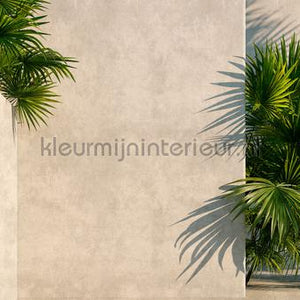 AS Creation Walls by Patel 3 DD122836 | Bestellen bij https://www.kleurmijninterieur.nl/