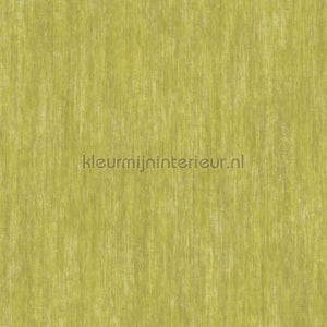 Hookedonwalls Caribbean 27239 | Bestellen bij https://www.kleurmijninterieur.nl/