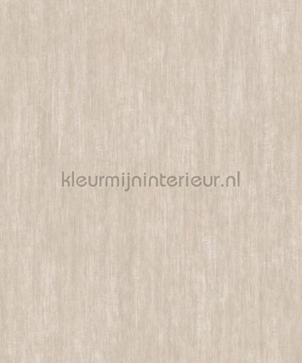 Hookedonwalls Liaison 46343 | Bestellen bij https://www.kleurmijninterieur.nl/