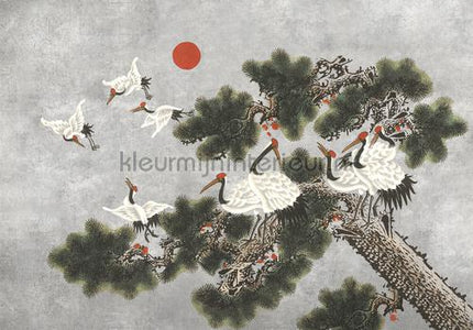Coordonne Random Chinoiseries 7900071 | Bestellen bij https://www.kleurmijninterieur.nl/