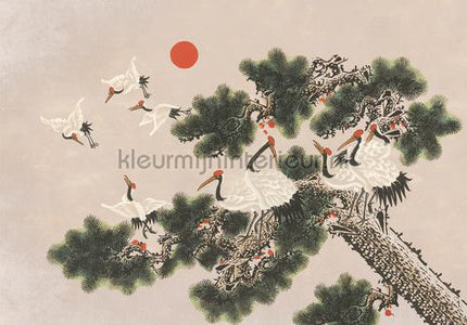 Coordonne Random Chinoiseries 7900072 | Bestellen bij https://www.kleurmijninterieur.nl/