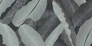 AS Creation Walls by Patel 3 DD122960 | Bestellen bij https://www.kleurmijninterieur.nl/