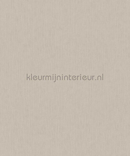 Versace wallpaper Versace 5 383834 | Bestellen bij https://www.kleurmijninterieur.nl/