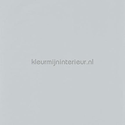 Casadeco Rose and Nino RONI69869111 | Bestellen bij https://www.kleurmijninterieur.nl/
