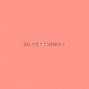 Casadeco Rose and Nino RONI82913401 | Bestellen bij https://www.kleurmijninterieur.nl/