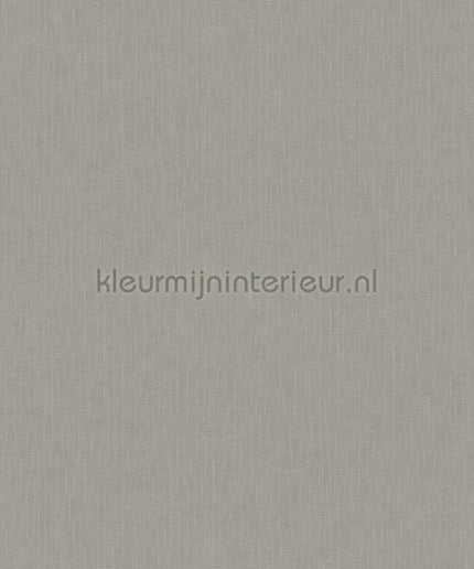 Versace wallpaper Versace 5 383835 | Bestellen bij https://www.kleurmijninterieur.nl/