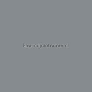 Bodaq Uni s198 | Bestellen bij https://www.kleurmijninterieur.nl/