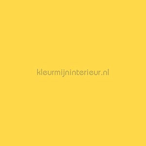 Bodaq Uni s188 | Bestellen bij https://www.kleurmijninterieur.nl/