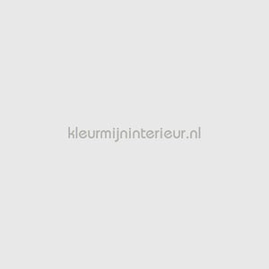Bodaq Uni s158 | Bestellen bij https://www.kleurmijninterieur.nl/