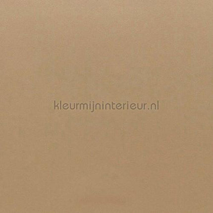 Bodaq Metalen dm112 | Bestellen bij https://www.kleurmijninterieur.nl/
