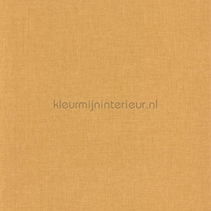 Caselio XXL XXL103222440 | Bestellen bij https://www.kleurmijninterieur.nl/