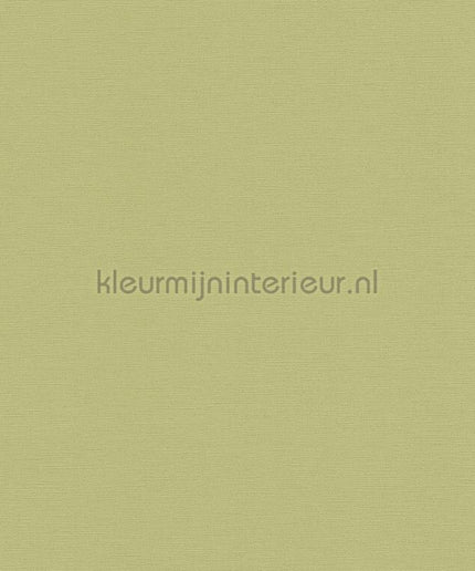 AS Creation Colorful World 39097-4 | Bestellen bij https://www.kleurmijninterieur.nl/