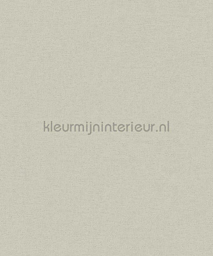 AS Creation Colorful World 37178-2 | Bestellen bij https://www.kleurmijninterieur.nl/