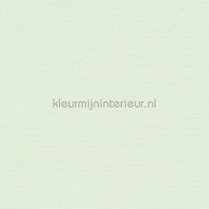 AS Creation Colorful World 38903-4 | Bestellen bij https://www.kleurmijninterieur.nl/
