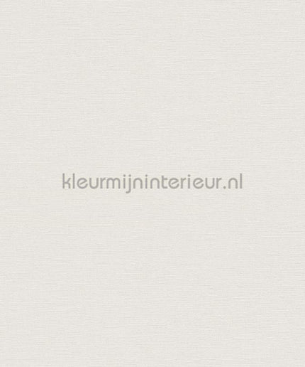 AS Creation Colorful World 38904-3 | Bestellen bij https://www.kleurmijninterieur.nl/