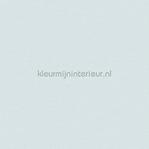 AS Creation Colorful World 38903-5 | Bestellen bij https://www.kleurmijninterieur.nl/