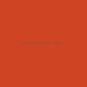 Bodaq Uni s147 | Bestellen bij https://www.kleurmijninterieur.nl/